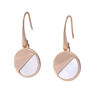 Picture of  Day & Night MOP Steel Earrings 