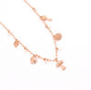 Picture of Blessing Source Steel Necklace 