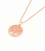 Picture of 925 Sterling Silver Life of Tree w/CZ Necklace 
